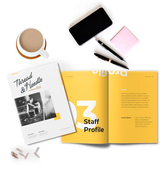 Professional Publishing